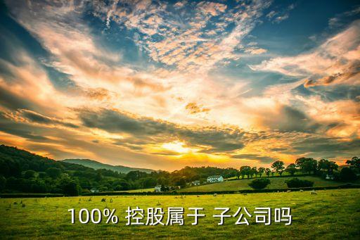 什么是控股的子公司,100%控股屬于子公司嗎