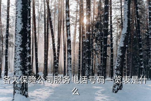 各大保險(xiǎn)公司服務(wù)電話號(hào)碼一覽表是什么