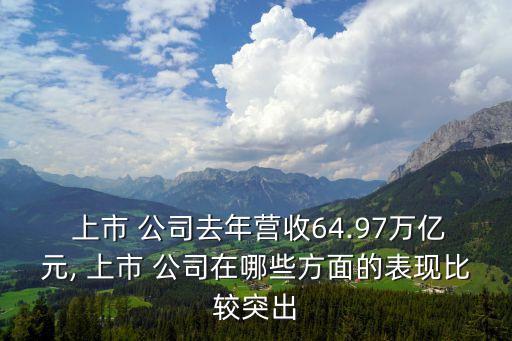  上市 公司去年?duì)I收64.97萬(wàn)億元, 上市 公司在哪些方面的表現(xiàn)比較突出