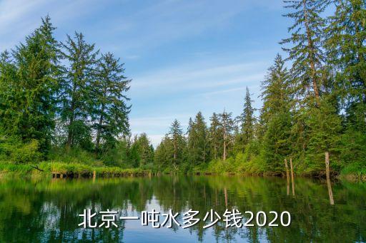 北京水價(jià)上調(diào),2023水價(jià)上調(diào)