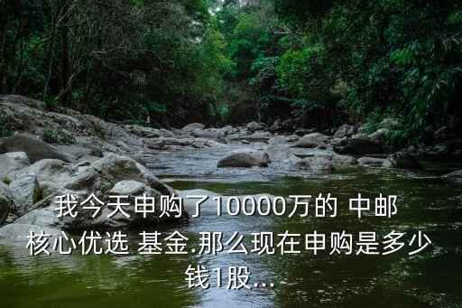 我今天申購(gòu)了10000萬(wàn)的 中郵 核心優(yōu)選 基金.那么現(xiàn)在申購(gòu)是多少錢(qián)1股...