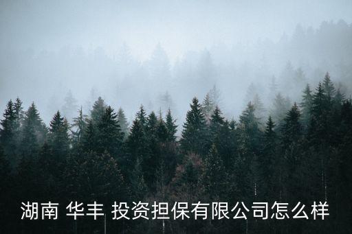 湖南 華豐 投資擔保有限公司怎么樣