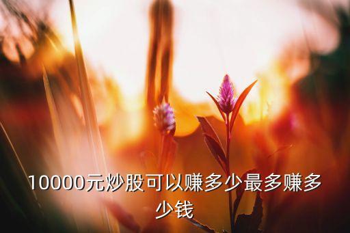 股票最多賺多少,買100元的股票最多會(huì)賺多少