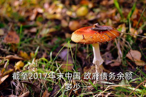 截至2017年末中國 政府債務(wù)余額多少