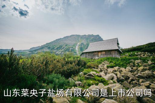 山東菜央子鹽場(chǎng)有限公司是上市公司嗎