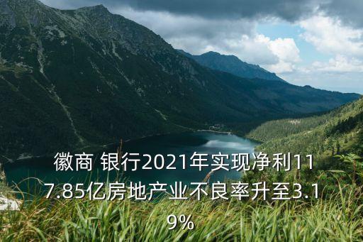  徽商 銀行2021年實(shí)現(xiàn)凈利117.85億房地產(chǎn)業(yè)不良率升至3.19%