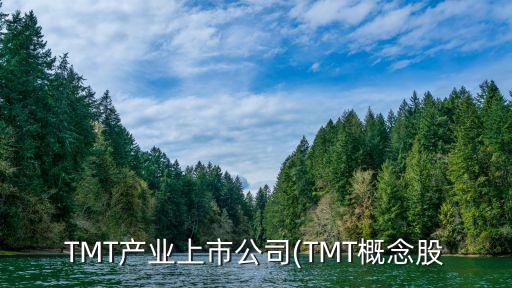 TMT產(chǎn)業(yè)上市公司(TMT概念股