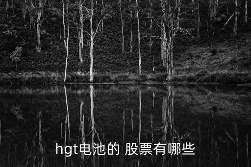 hgt電池的 股票有哪些