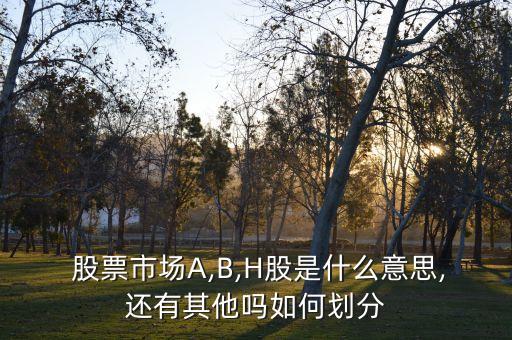  股票市場A,B,H股是什么意思,還有其他嗎如何劃分