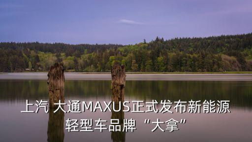 上汽 大通MAXUS正式發(fā)布新能源輕型車品牌“大拿”