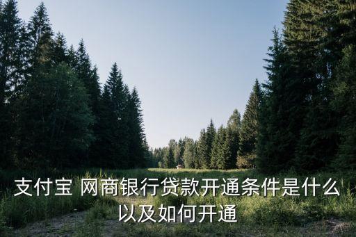 支付寶 網(wǎng)商銀行貸款開(kāi)通條件是什么以及如何開(kāi)通