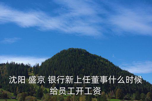 沈陽 盛京 銀行新上任董事什么時(shí)候給員工開工資