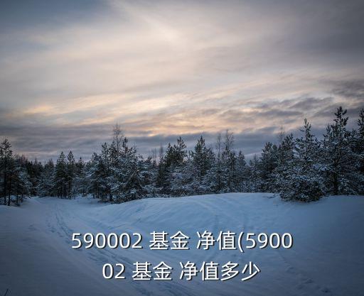 590002 基金 凈值(590002 基金 凈值多少