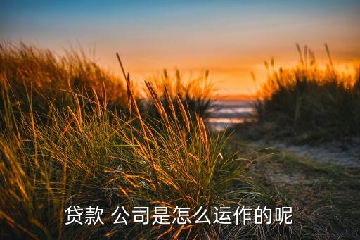 小貸公司如何融資,融資助貸公司怎么樣