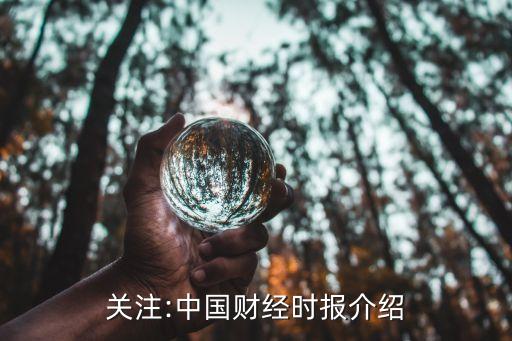 關(guān)注:中國財(cái)經(jīng)時(shí)報(bào)介紹