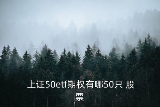  上證50etf期權有哪50只 股票