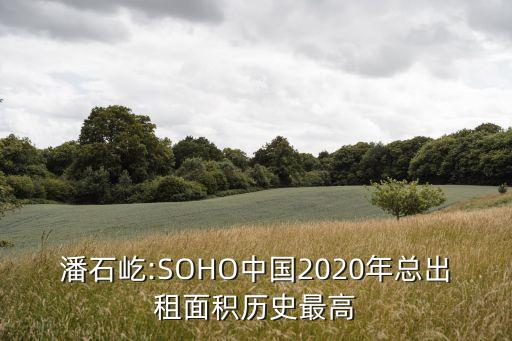 潘石屹:SOHO中國(guó)2020年總出租面積歷史最高