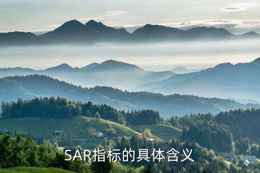 SAR指標(biāo)的具體含義