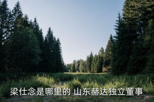 梁仕念是哪里的 山東赫達(dá)獨(dú)立董事