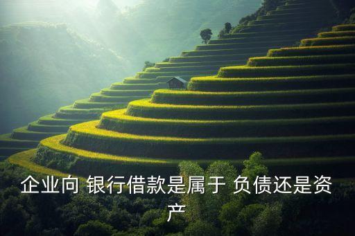 企業(yè)向 銀行借款是屬于 負(fù)債還是資產(chǎn)