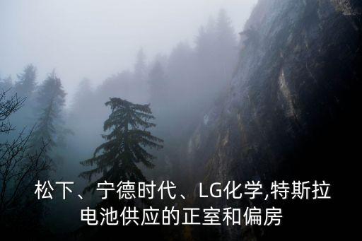  松下、寧德時代、LG化學(xué),特斯拉電池供應(yīng)的正室和偏房