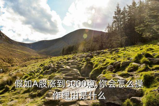 假如A股漲到5000點(diǎn),你會(huì)怎么操作理由是什么