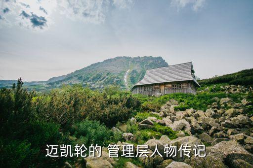 戴姆勒公司管理層,福田戴姆勒汽車公司