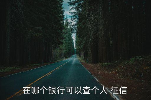 在哪個銀行可以查個人 征信