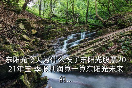 東陽(yáng)光今天為什么跌了東陽(yáng)光股票2021年三 季報(bào)利潤(rùn)算一算東陽(yáng)光未來(lái)的...