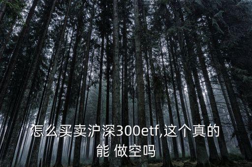 怎么買(mǎi)賣(mài)滬深300etf,這個(gè)真的能 做空嗎