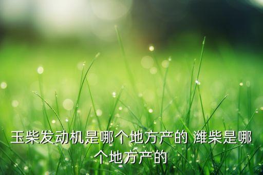 玉柴發(fā)動(dòng)機(jī)是哪個(gè)地方產(chǎn)的 濰柴是哪個(gè)地方產(chǎn)的