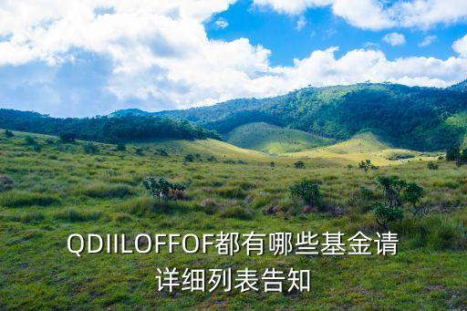 QDIILOFFOF都有哪些基金請詳細列表告知