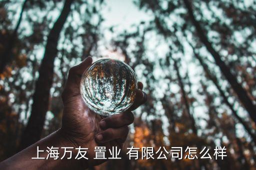  上海萬友 置業(yè) 有限公司怎么樣