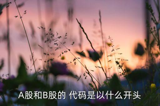 A股和B股的 代碼是以什么開頭