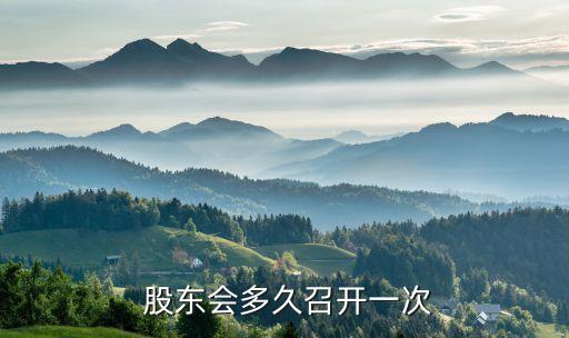 公司股東年會,伯克希爾股東年會