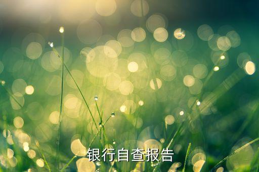 中國式影子銀行風(fēng)險(xiǎn)評估