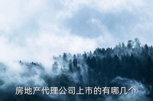 房地產(chǎn)代理公司上市的有哪幾個(gè)