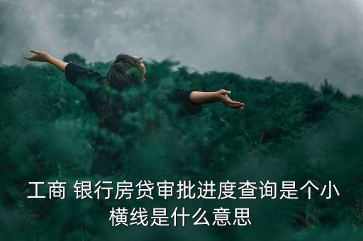  工商 銀行房貸審批進度查詢是個小橫線是什么意思