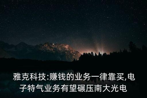  雅克科技:賺錢的業(yè)務一律靠買,電子特氣業(yè)務有望碾壓南大光電