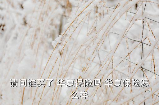 請(qǐng)問(wèn)誰(shuí)買(mǎi)了 華夏保險(xiǎn)嗎 華夏保險(xiǎn)怎么樣