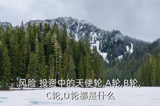 風(fēng)險(xiǎn) 投資中的天使輪,A輪,B輪,C輪,D輪都是什么