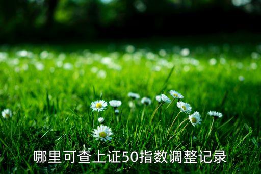 哪里可查上證50指數(shù)調(diào)整記錄