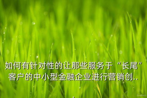 如何有針對性的讓那些服務(wù)于“長尾”客戶的中小型金融企業(yè)進(jìn)行營銷創(chuàng)...