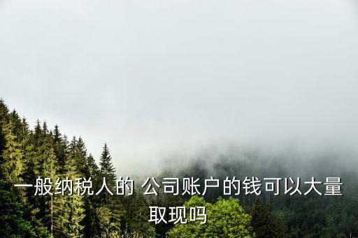 一般納稅人的 公司賬戶的錢可以大量取現(xiàn)嗎