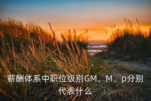 薪酬體系中職位級別GM、M、p分別代表什么